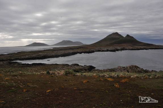 A paisagem de Steeple Jason, no noroeste das Ilhas Malvinas